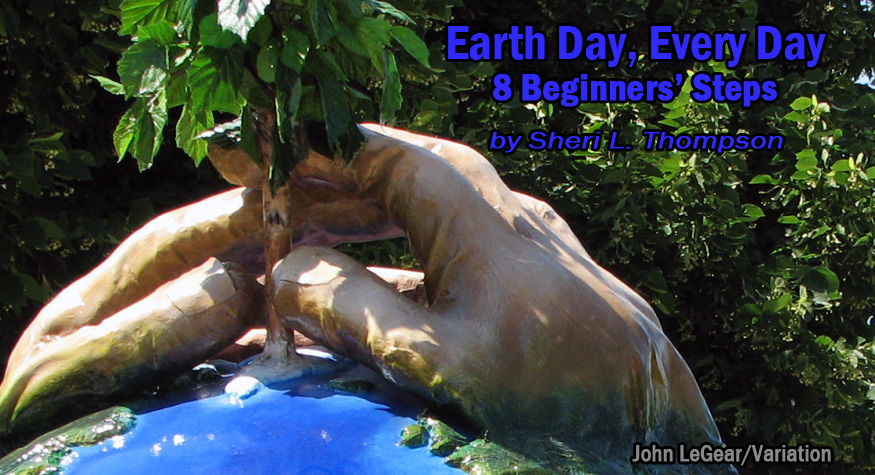 Earth Day, Every Day: 8 Beginner’s Steps