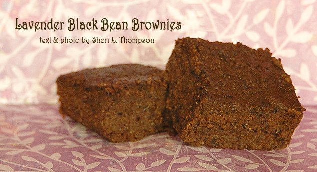 LedeLavenderBlackBeanBrownies